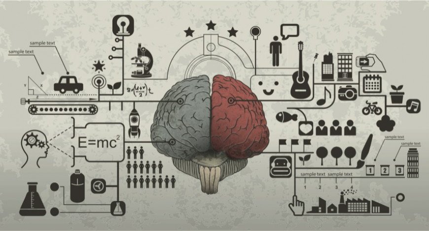 Neurociência e Comportamento